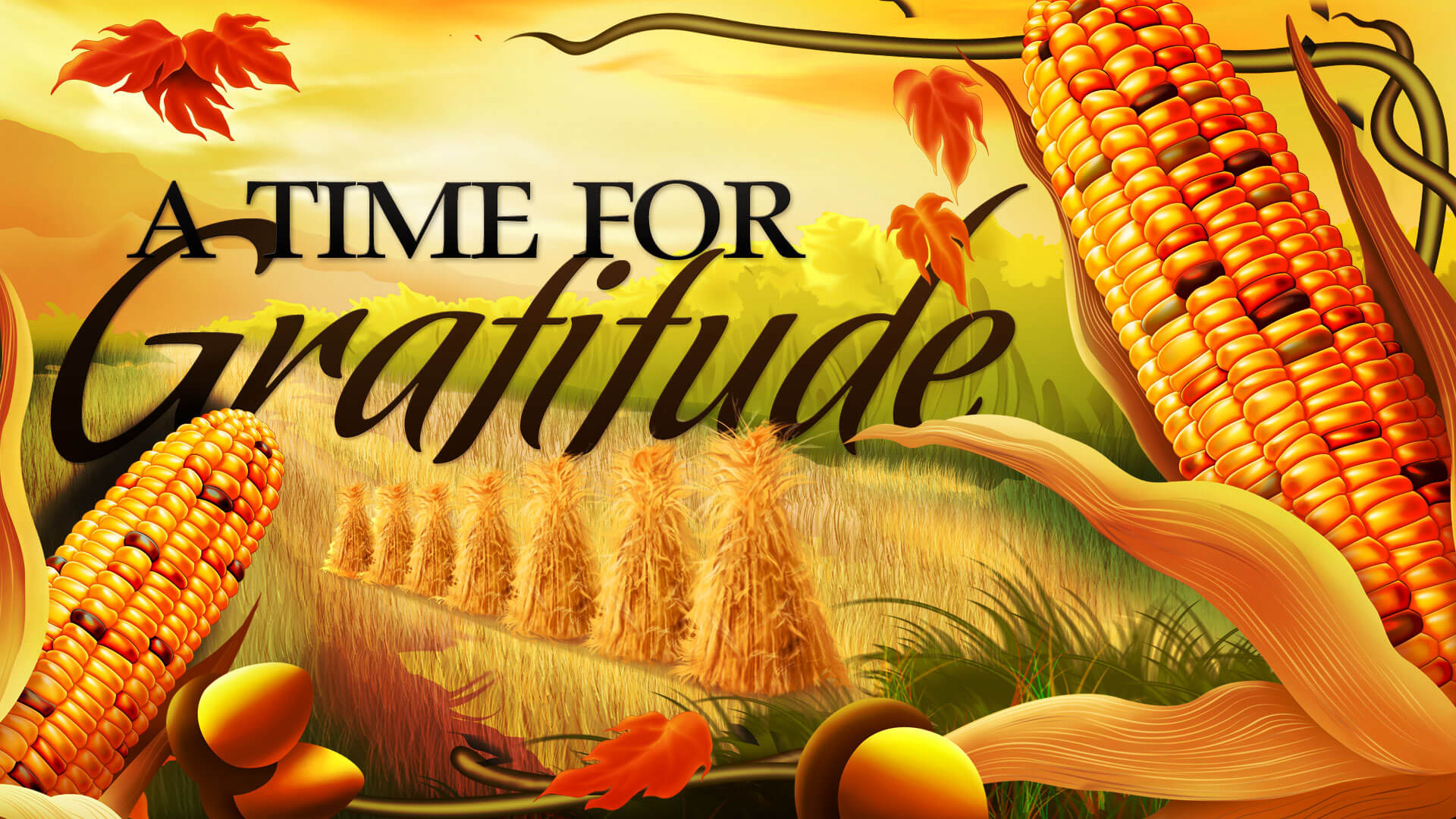 Happy Thanksgiving Day Gratitude Food Corn Latest Hd Wallpaper